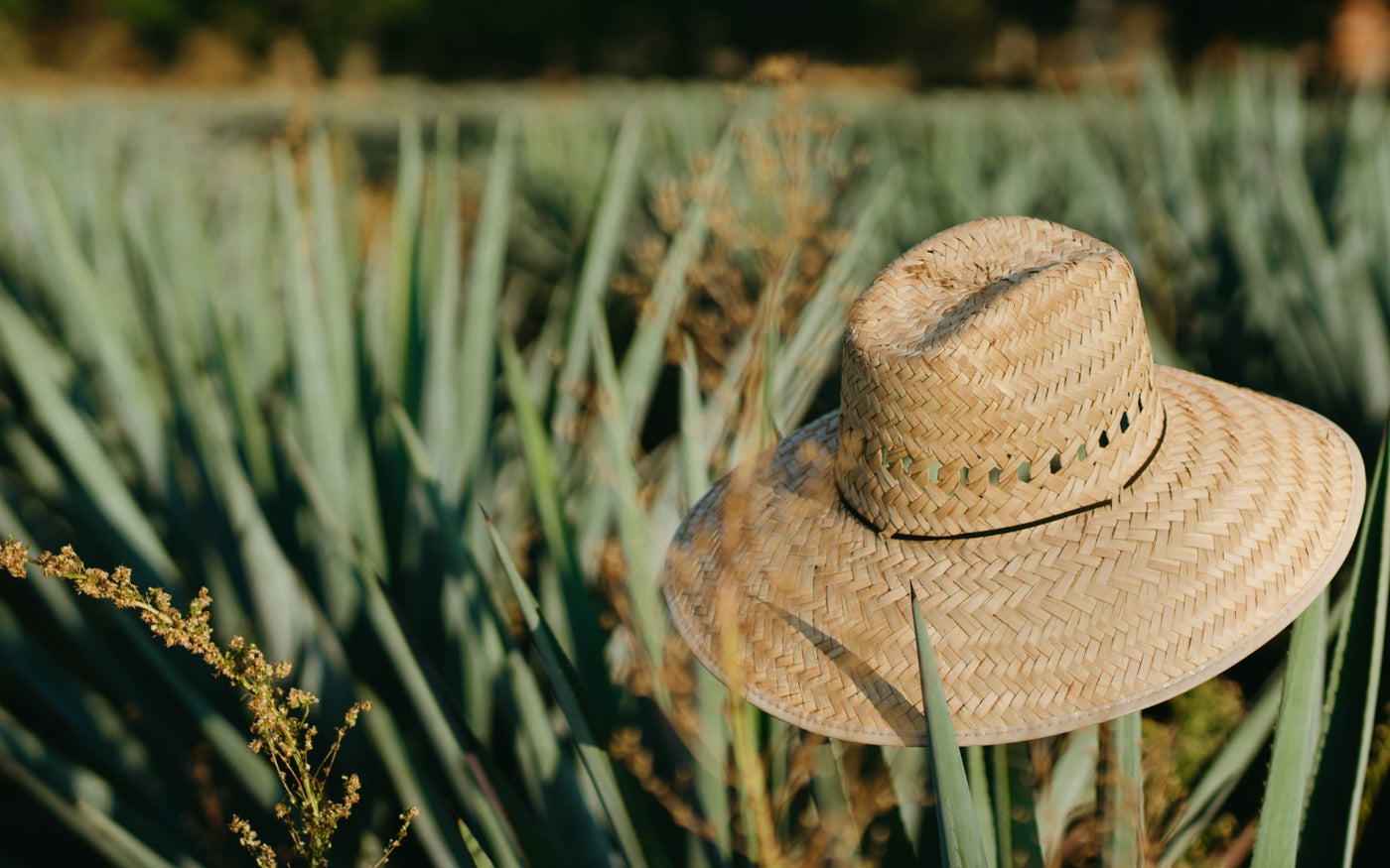 Hatworx Summer Straw Hat Collection NZ | Buy Online